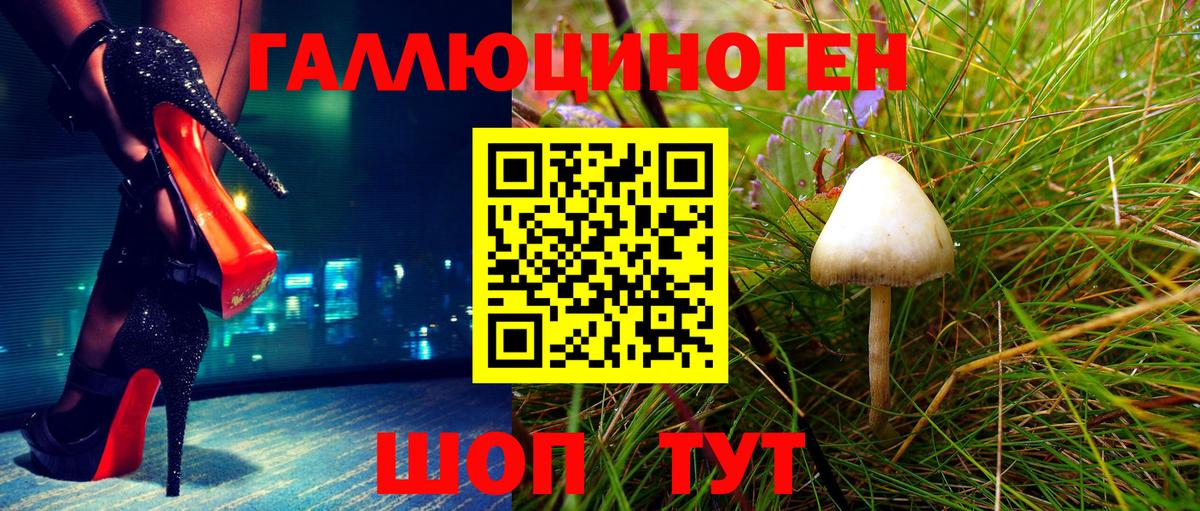 Галлюциногенные грибы Psilocybine cubensis Волжск